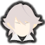 corrin icon