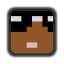 steve icon